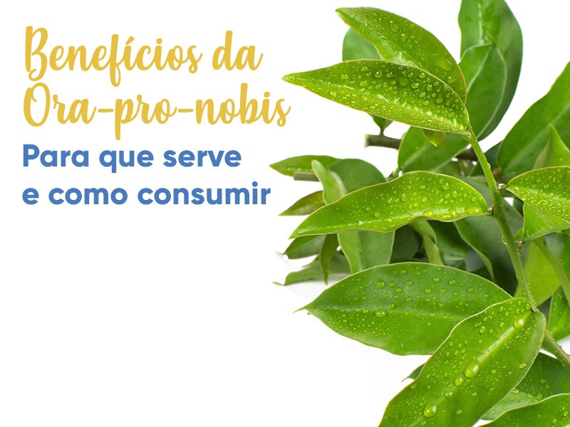 09 Benefícios da Hora Pro Nóbis para a saúde