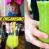 Sucos detox para emagrecer mais rápido