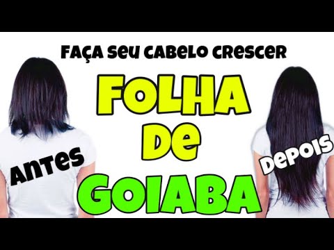 Tônico de folha de goiaba crescimento capilar