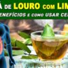 5 Benefícios do CHÁ DE LOURO com LIMÃO