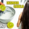 Hidratação caseira desmaia cabelo, cabelos macios e sedosos