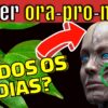 Coma ora-pro-nóbis todos os dias e veja o que acontece com o seu corpo