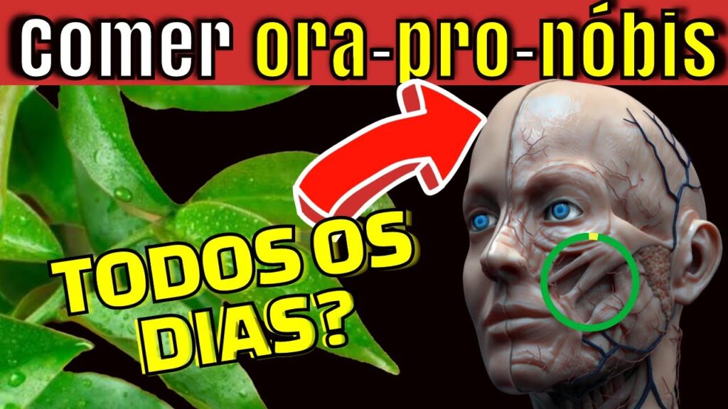 Coma ora-pro-nóbis todos os dias e veja o que acontece com o seu corpo