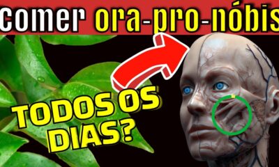 Coma ora-pro-nóbis todos os dias e veja o que acontece com o seu corpo