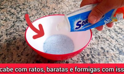 Como Fazer MISTURINHA para Sumir com os RATOS, BARATAS e FORMIGAS de Uma Vez