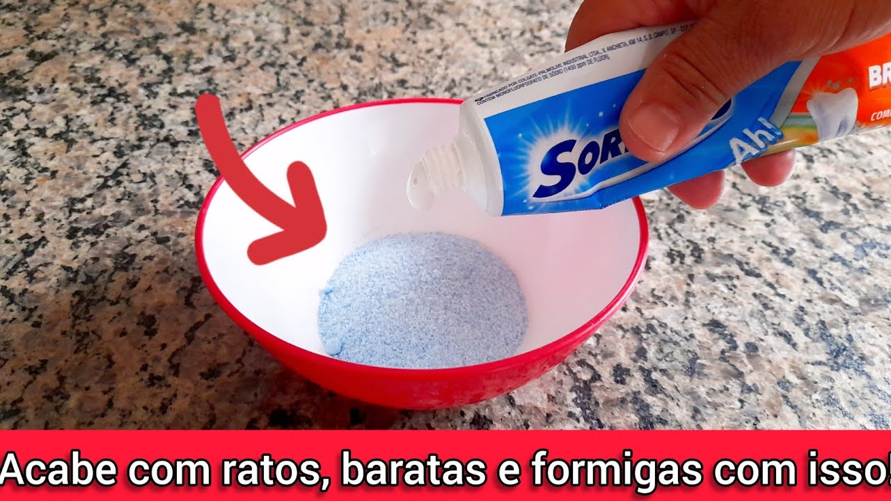 Como Fazer MISTURINHA para Sumir com os RATOS, BARATAS e FORMIGAS de Uma Vez