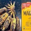 Tem banana velha em casa? Não jogue fora! Misture com maizena e surpreenda a todos